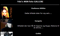 MSN Galleriet